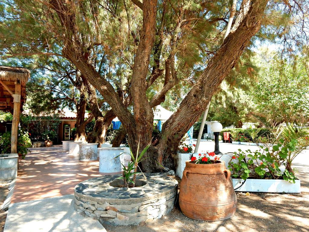 קיסאמוס Camping Mithimna מראה חיצוני תמונה